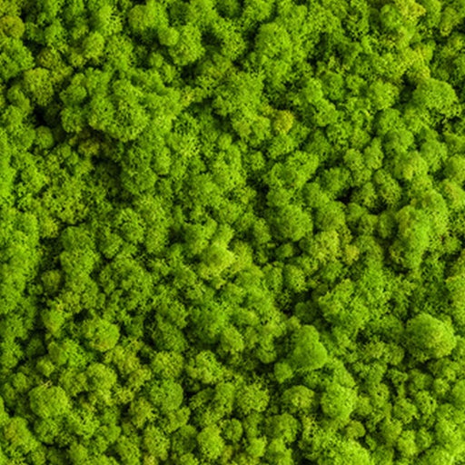 reindeer moss wall | per square foot
