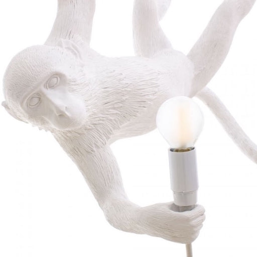 replacement bulb [ seletti ]