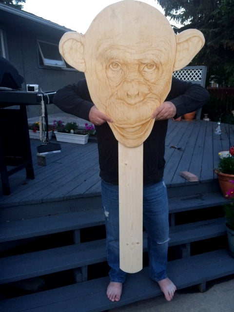 monkey popsicle